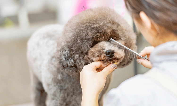 リラックスしながら快適にトリミング